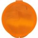 Ear Protection in Round Case