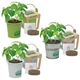 Mini Pail Blossom Kit