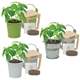Mini Pail Blossom Kit