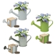 Mini Watering Can Blossom Kit