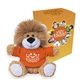 6 Lovable Lion With Custom Box