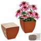 Bamboo Blossom Kit