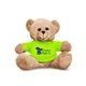 7 Plush Bear With T - Shirt