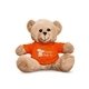 7 Plush Bear With T - Shirt
