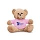 7 Plush Bear With T - Shirt