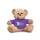7 Plush Bear With T - Shirt