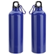 Atrium 25 oz Aluminum Bottle