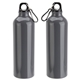 Atrium 25 oz Aluminum Bottle