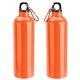 Atrium 25 oz Aluminum Bottle
