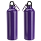 Atrium 25 oz Aluminum Bottle