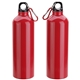 Atrium 25 oz Aluminum Bottle
