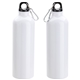 Atrium 25 oz Aluminum Bottle
