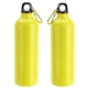 Atrium 25 oz Aluminum Bottle