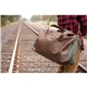 Danville Duffel