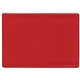 Insurance Card Holder
