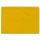 Insurance Card Holder
