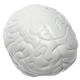 Brain Slo - Release Serenity Squishy
