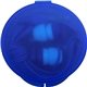 Matching Ear Buds Round Case