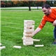 Giant Tumble Tower Game