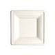 6Square Compostable Paper Plate Bagasse