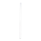 Reusable Standard Straw, Blank
