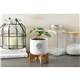 Ceramic Planter Set
