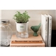 Self Watering Planter