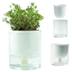 Self Watering Planter