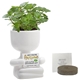 People Planter Kit