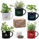 Mini Campfire Mug Blossom Kit