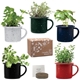 Mini Campfire Mug Blossom Kit