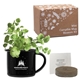 Mini Campfire Mug Blossom Kit