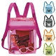 Good Value(TM) Translucent Color Daypack
