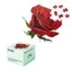 Rose Puzzle