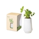 Modern Sprout(R) Tapered Tumbler Grow Kit