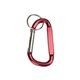 Anodized Aluminum Carabiner Keyring