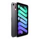 Custom Apple iPad Mini with Wi - Fi