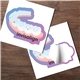 5 x 5 Kiss Cut Stickers