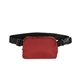 Anywhere Belt Bag