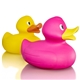 Jumbo Duck