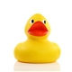 Jumbo Duck