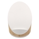 iBlu Phonic 15W Wireless Charger and Bluetooth Speaker