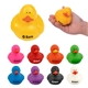 Colorful Duck