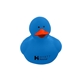 Colorful Duck
