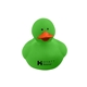 Colorful Duck
