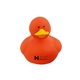 Colorful Duck