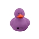Colorful Duck
