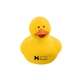 Colorful Duck