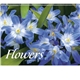 Good Value(TM) Flowers - Spiral Calendar