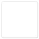 3 X 3 In Square Perm Standard Label